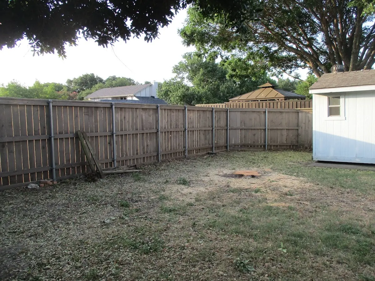 Cleared yard after professional tree removal in Mattituck